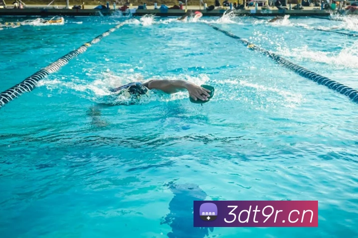 多媒体互动体验